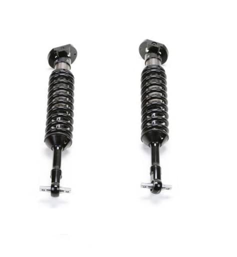 FABTECH FTS22354 Fabtech FTS22354 2.5DLSS C/O N/R 21F150 4WD 4'