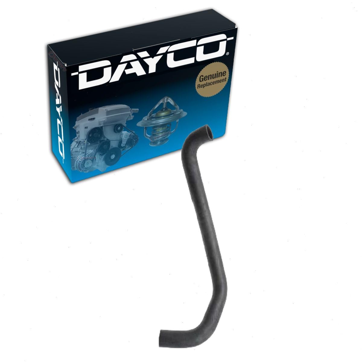 Dayco 71696 CHEVROLET/PONTIAC 3.4L