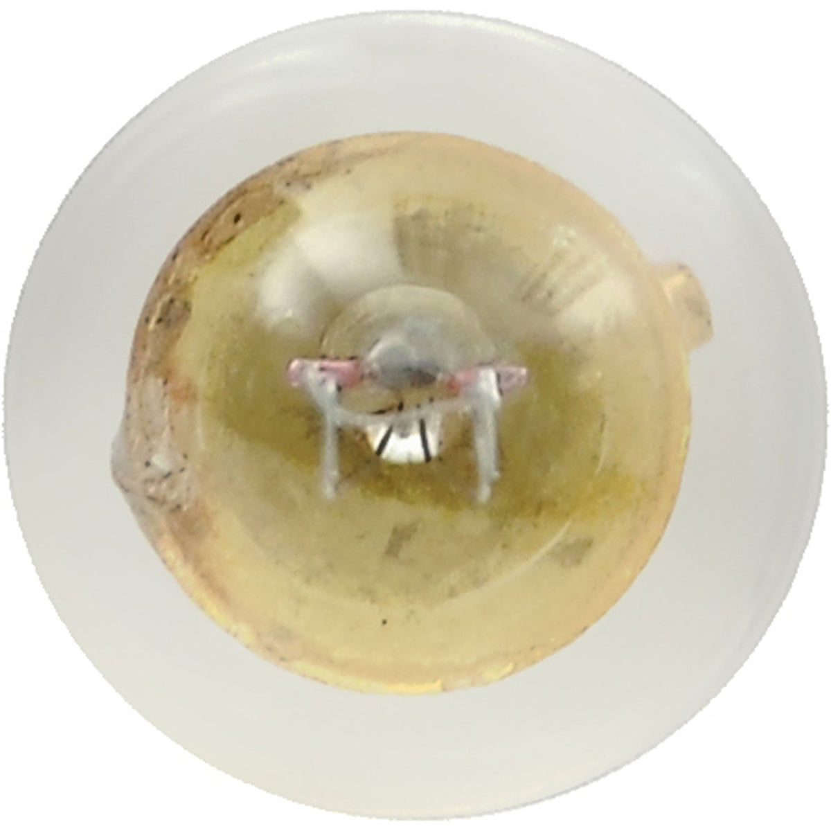 SYLVANIA 1895.TP SYLVANIA 1895 Basic Miniature Bulb, (Contains 10 Bulbs)