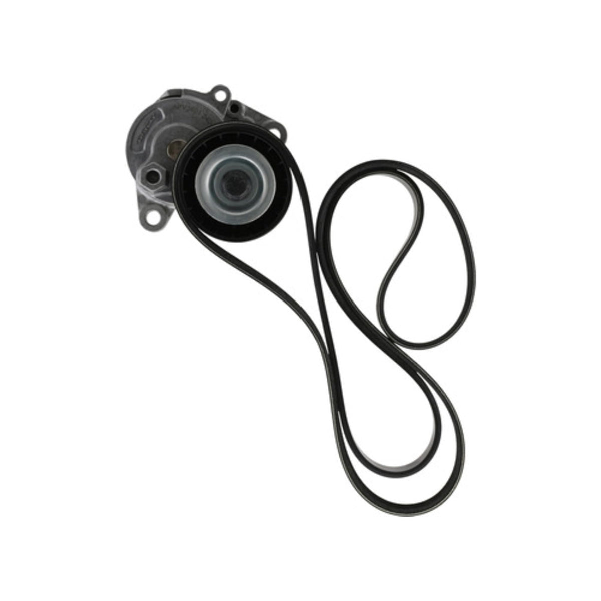 Dayco A060563K1 Serpentine Belt