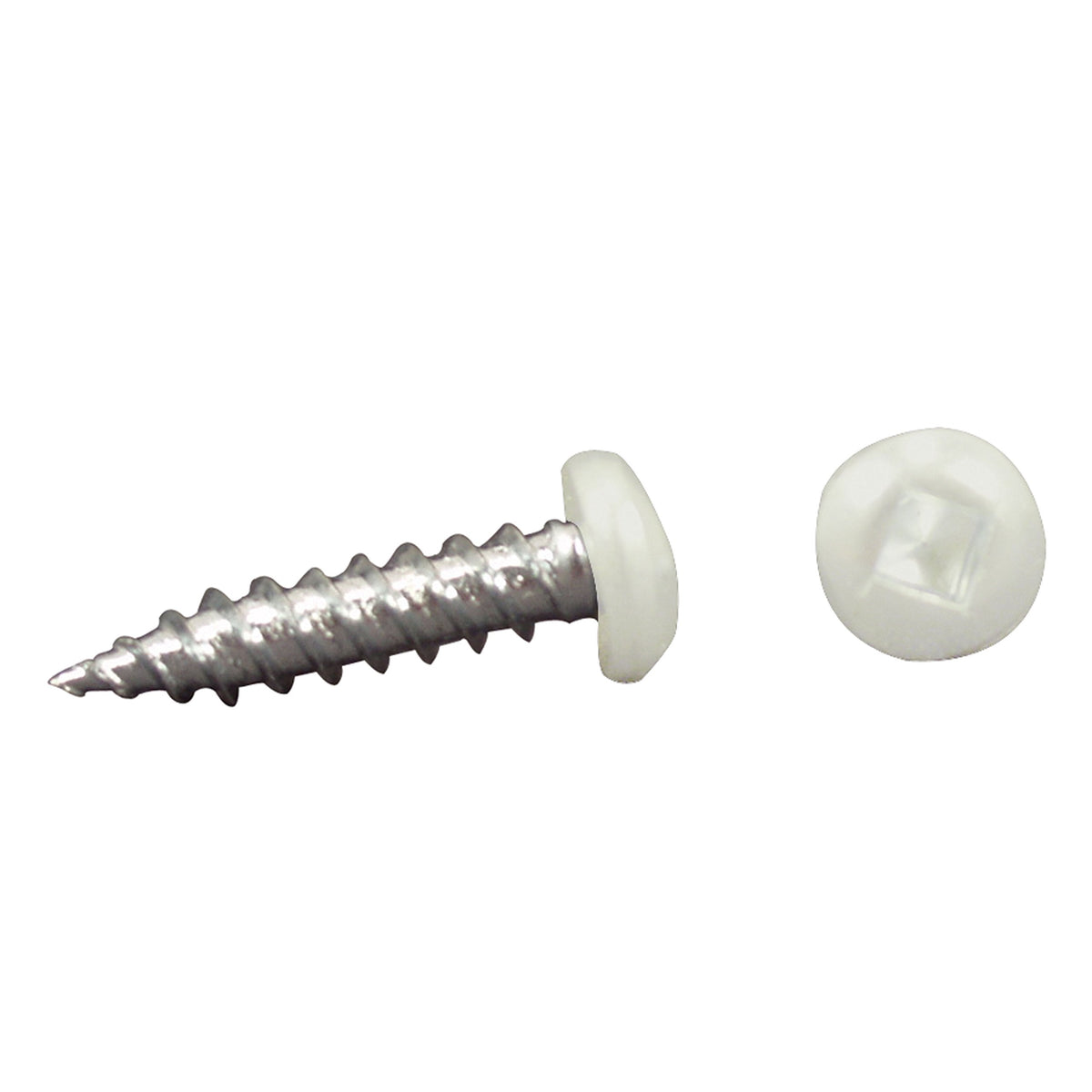 AP PRODUCTS 012-PSQ50W 8X1-1/4 AP Products 012-PSQ50 W 8 X 1-1/4 White Pan Head Square Recess Screw - Pack of 50