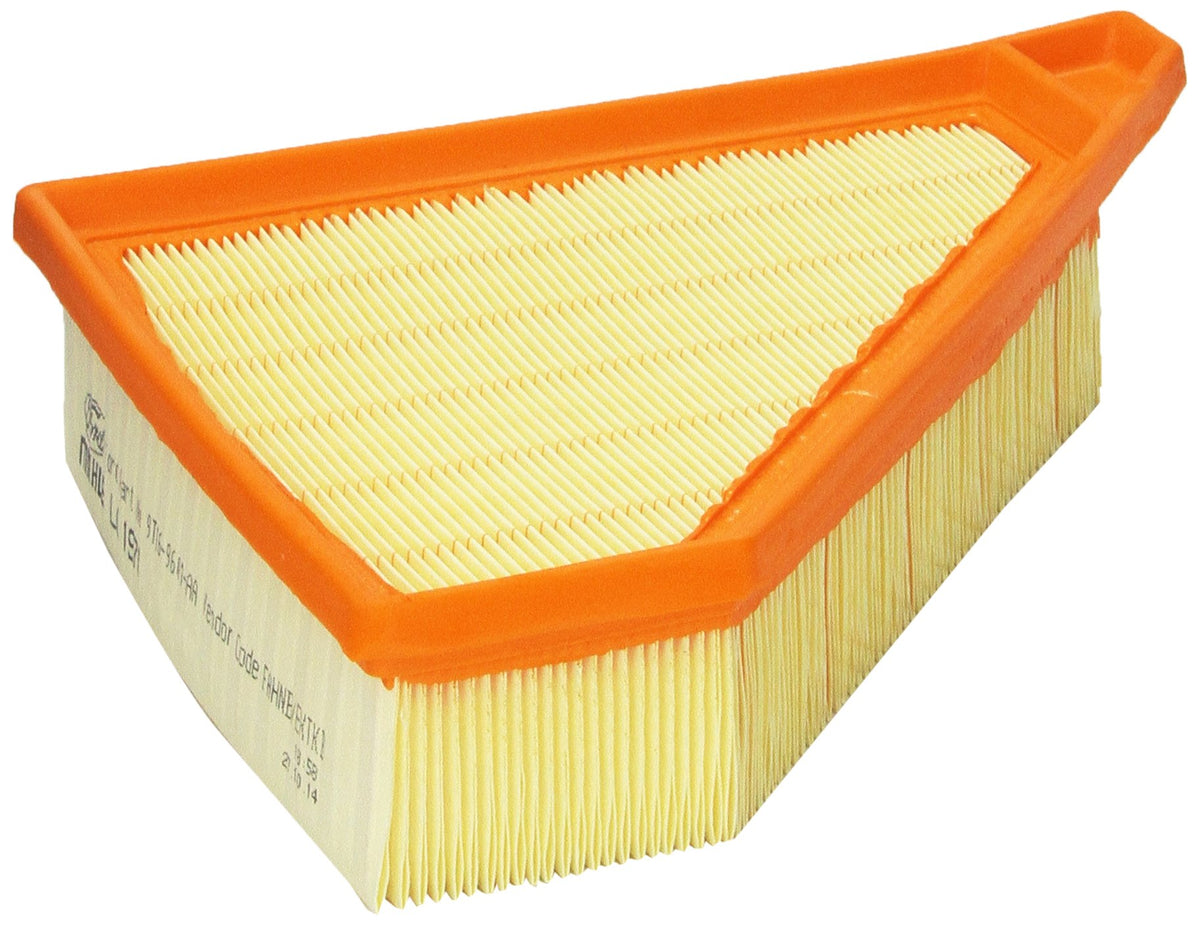Motorcraft FA1900 Element Asy