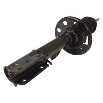 Motorcraft ASH12241 Shock Absorber Asy (P