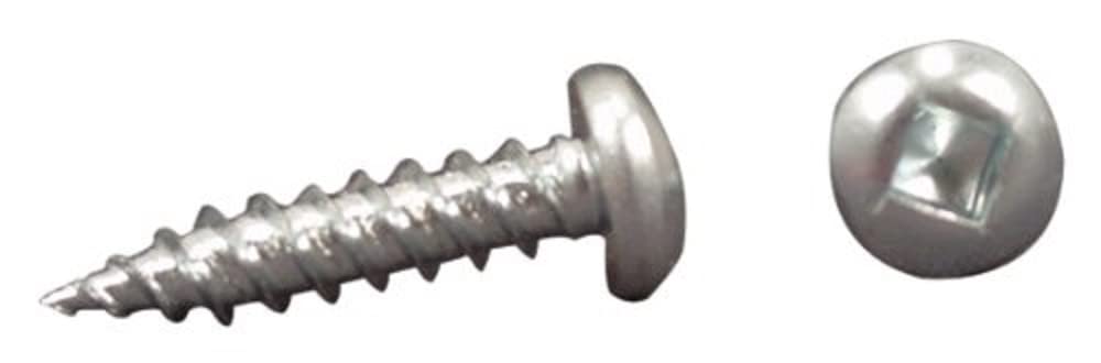 AP PRODUCTS 012-PSQ50W 8 X 1 AP Products 012-PSQ50 W 8 X 1 White Pan Head Square Recess Screw - Pack of 50