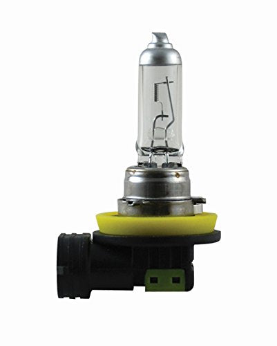 Hella H11P50TB BULB H11 12V 55W PGJ19-2 T4 +50 (2