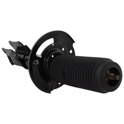 Motorcraft AST24724 Shock Absorber Asy (P