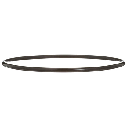 Delphi FA10036 FUEL PUMP TANK SEAL