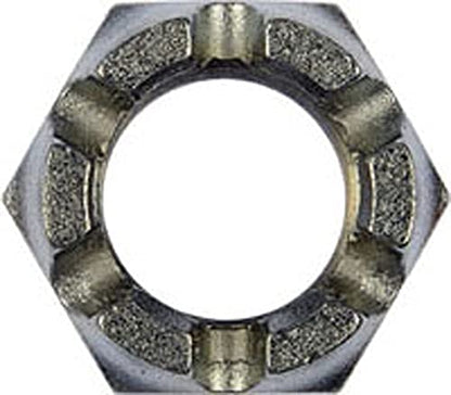 Dorman 220-019BX Hex Nut-Castellated-Thread Size; 1-14, Height