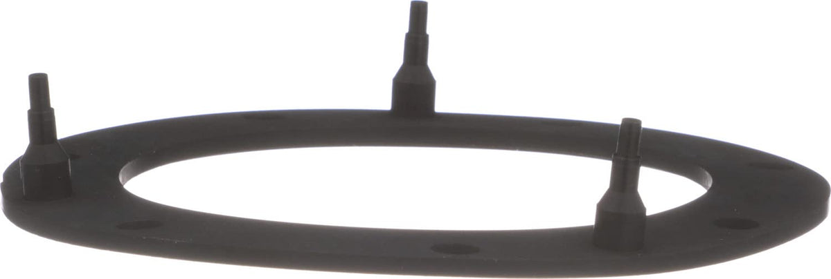 Delphi FA10038 FUEL PUMP TANK SEAL