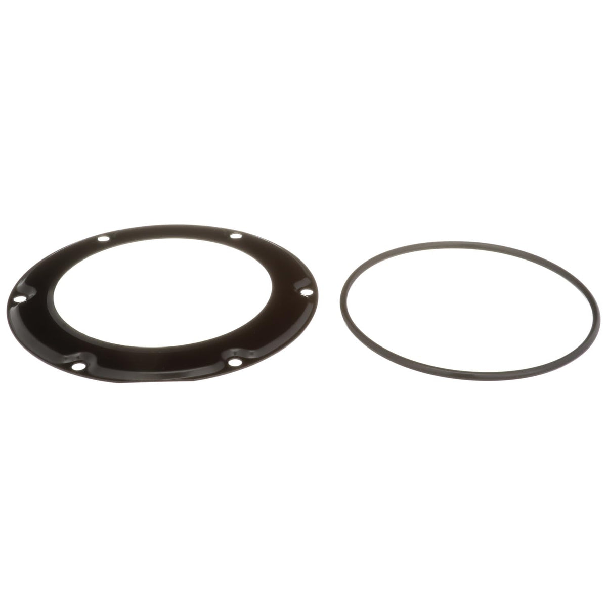 Delphi FA10037 FUEL TANK LOCK RING