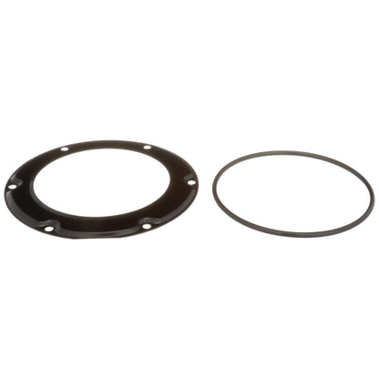 Delphi FA10037 FUEL TANK LOCK RING