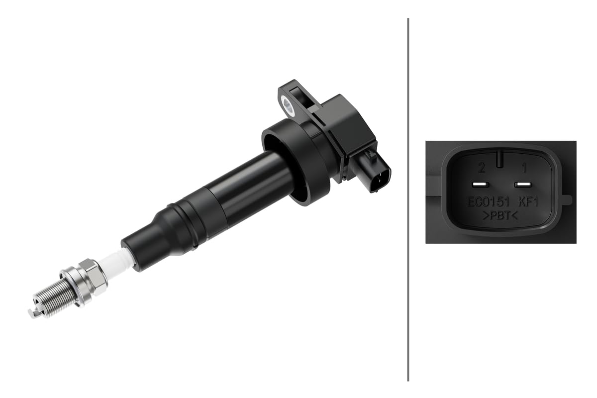 Hella 193175481 Ignition Coil, 2 Pin