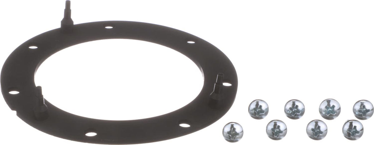 Delphi FA10038 FUEL PUMP TANK SEAL