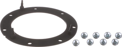 Delphi FA10038 FUEL PUMP TANK SEAL