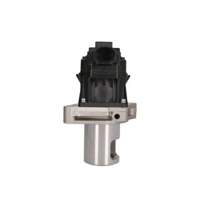Hella 7.24809.81.0 ELECTRIC EGR VALVE