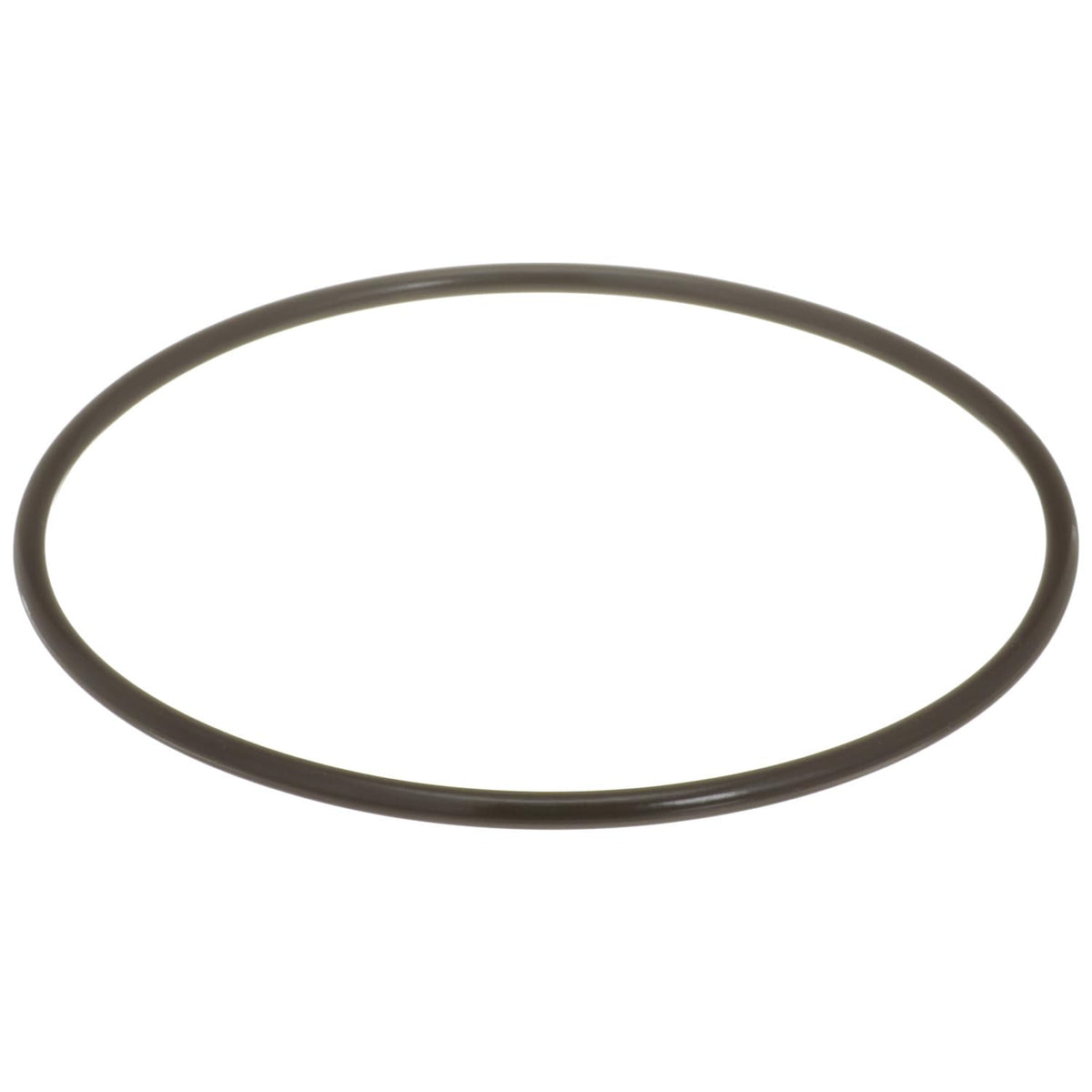 Delphi FA10036 FUEL PUMP TANK SEAL