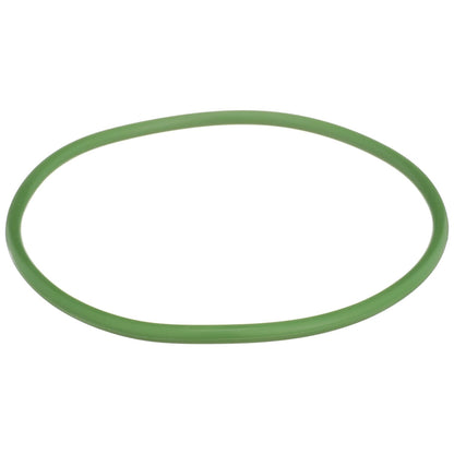 Delphi FA10029 FUEL PUMP TANK SEAL
