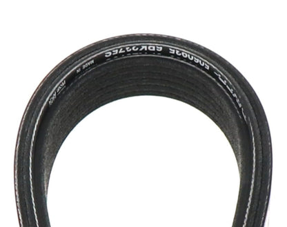 DAYCO 5060935 Dayco 5060935 Serpentine Belt 93.5” Long 6-Rib Belt , Black