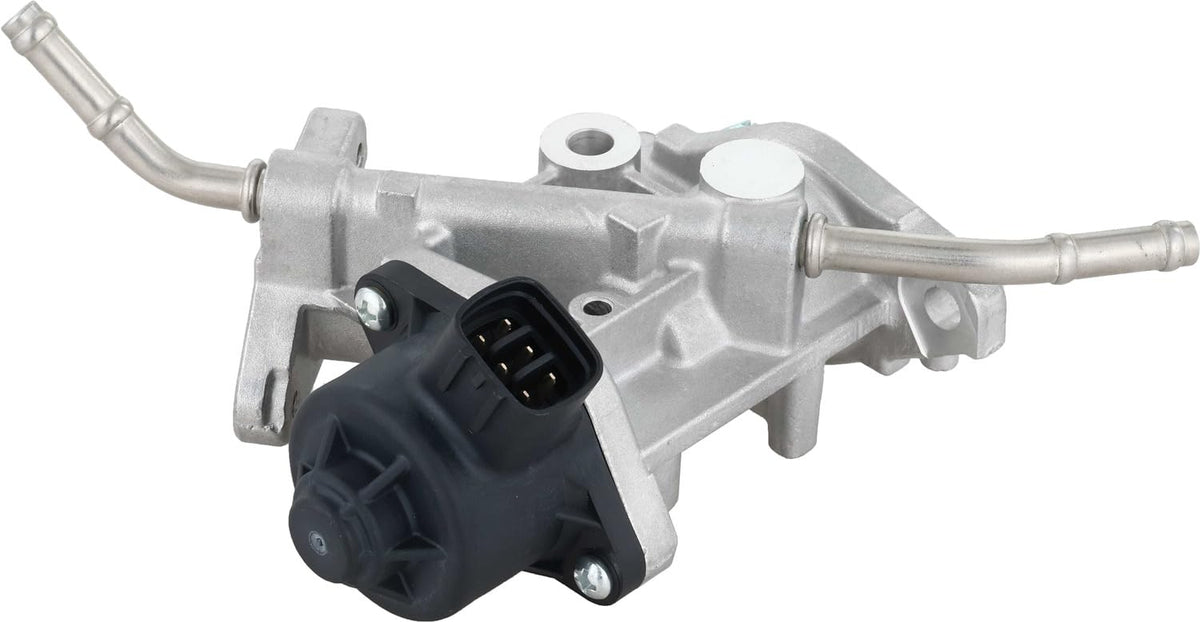 Delphi EG10738 EXHAUST GAS RECIRCULATION (EGR) VALVE