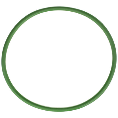 Delphi FA10029 FUEL PUMP TANK SEAL