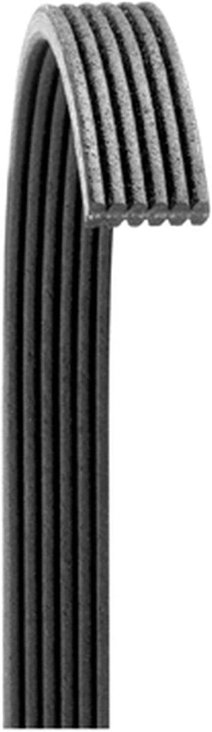 Dayco 6060809 Hyundai Genesis V6 3.8L Poly Rib Belt