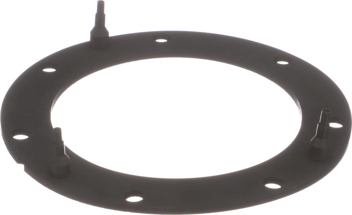 Delphi FA10038 FUEL PUMP TANK SEAL