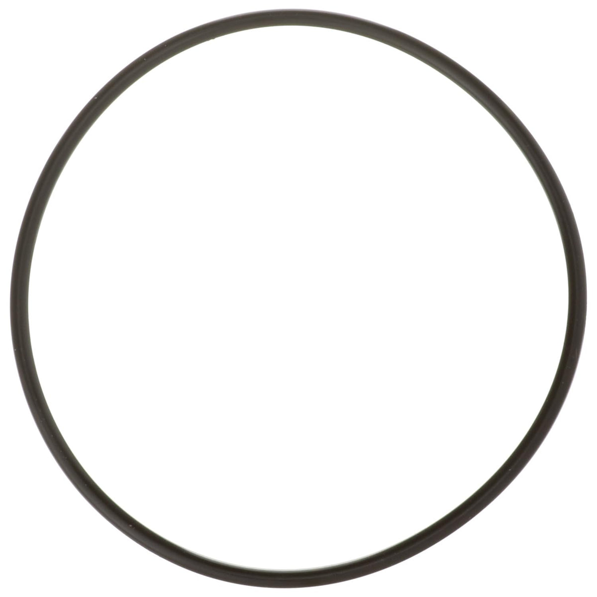 Delphi FA10036 FUEL PUMP TANK SEAL