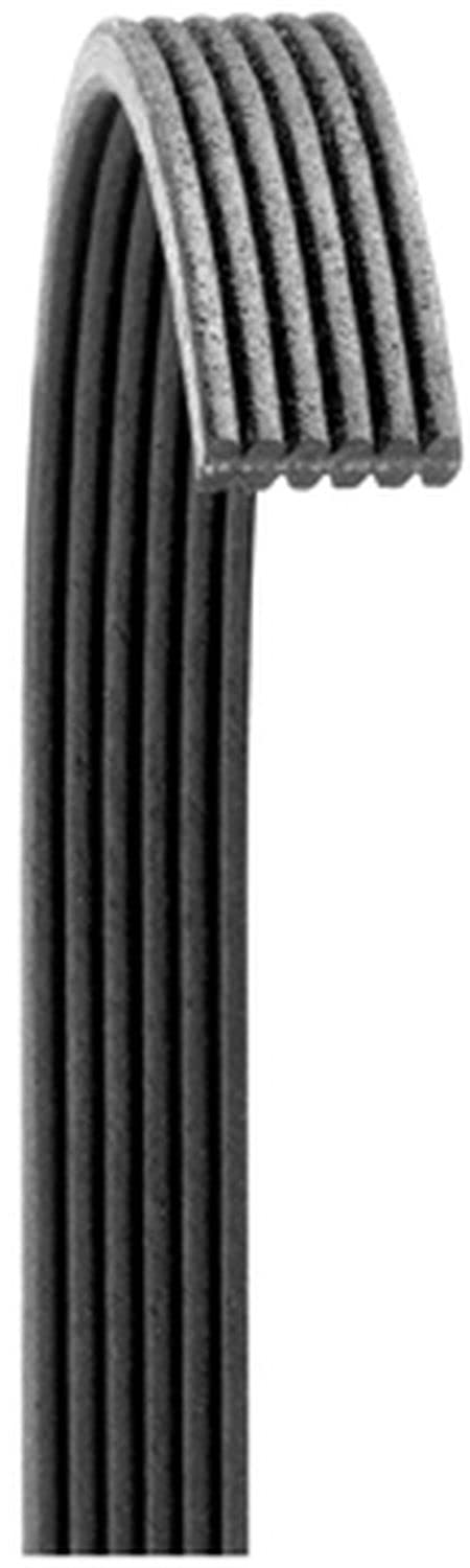 Dayco 6050565 CADILLAC 4.4/4.6L