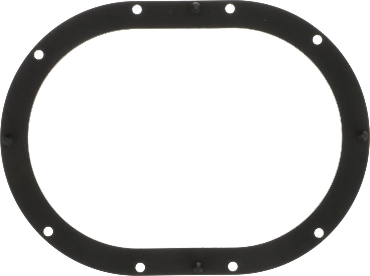 Delphi FA10039 FUEL PUMP TANK SEAL