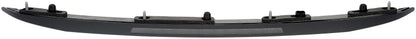 Dorman 923-355 Center High Mount Stop Light