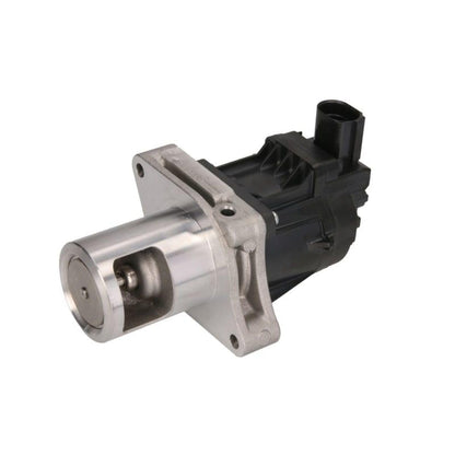 Hella 7.24809.81.0 ELECTRIC EGR VALVE