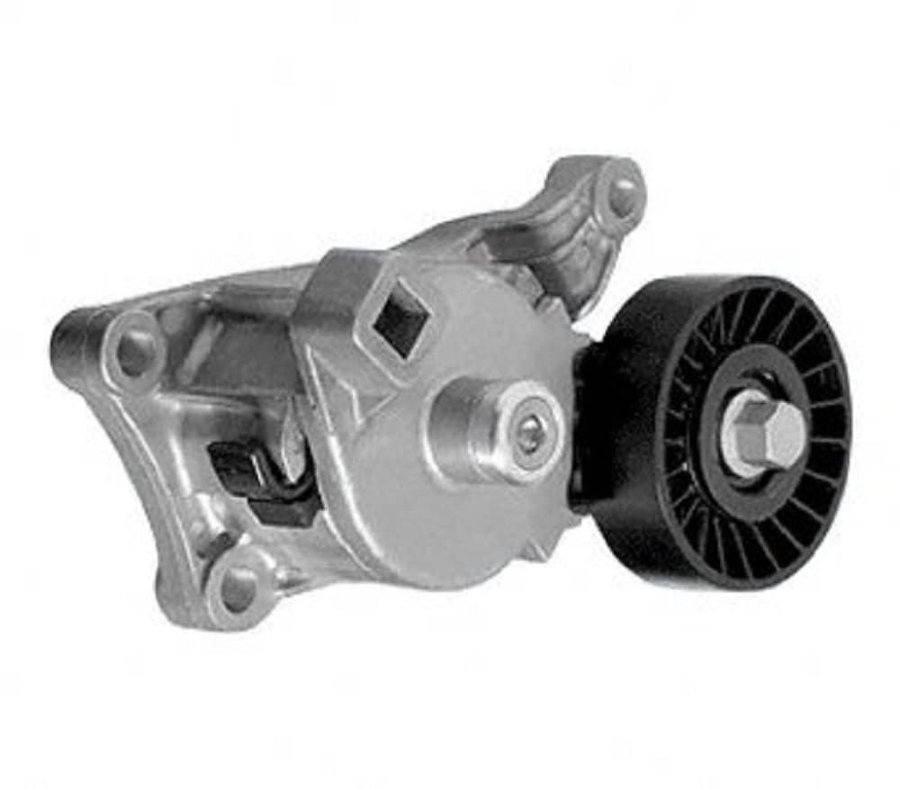 Dayco 89203 BUICK/CADILLAC/CHEV/OLDS/PONT 2.8