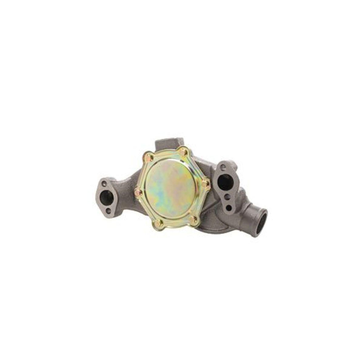 Dayco DP1313 Water Pump Kit