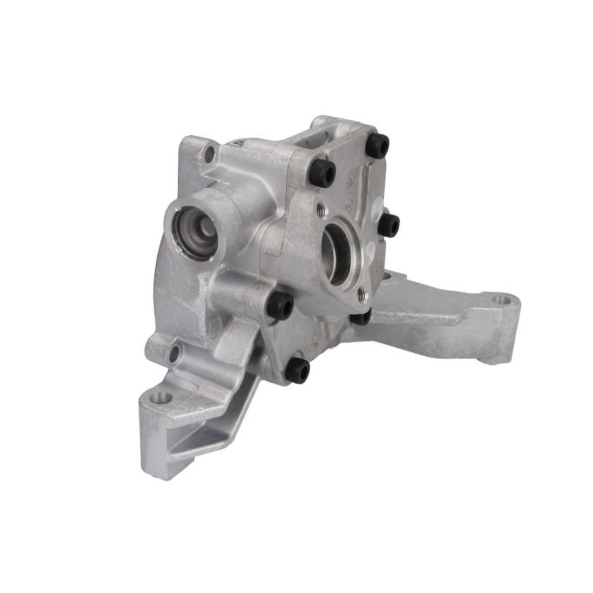Hella 7.07919.06.0 FKM/FPM OIL PUMP