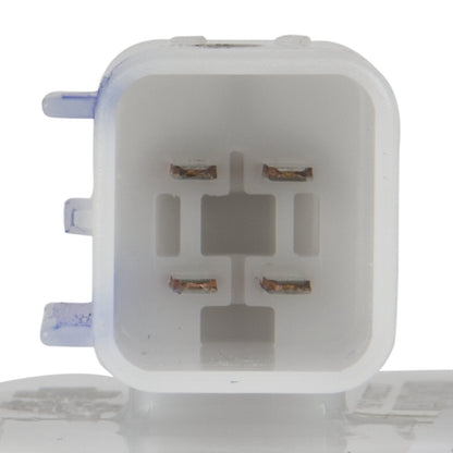 Delphi FG1091 FUEL PUMP MODULE ASSEMBLY