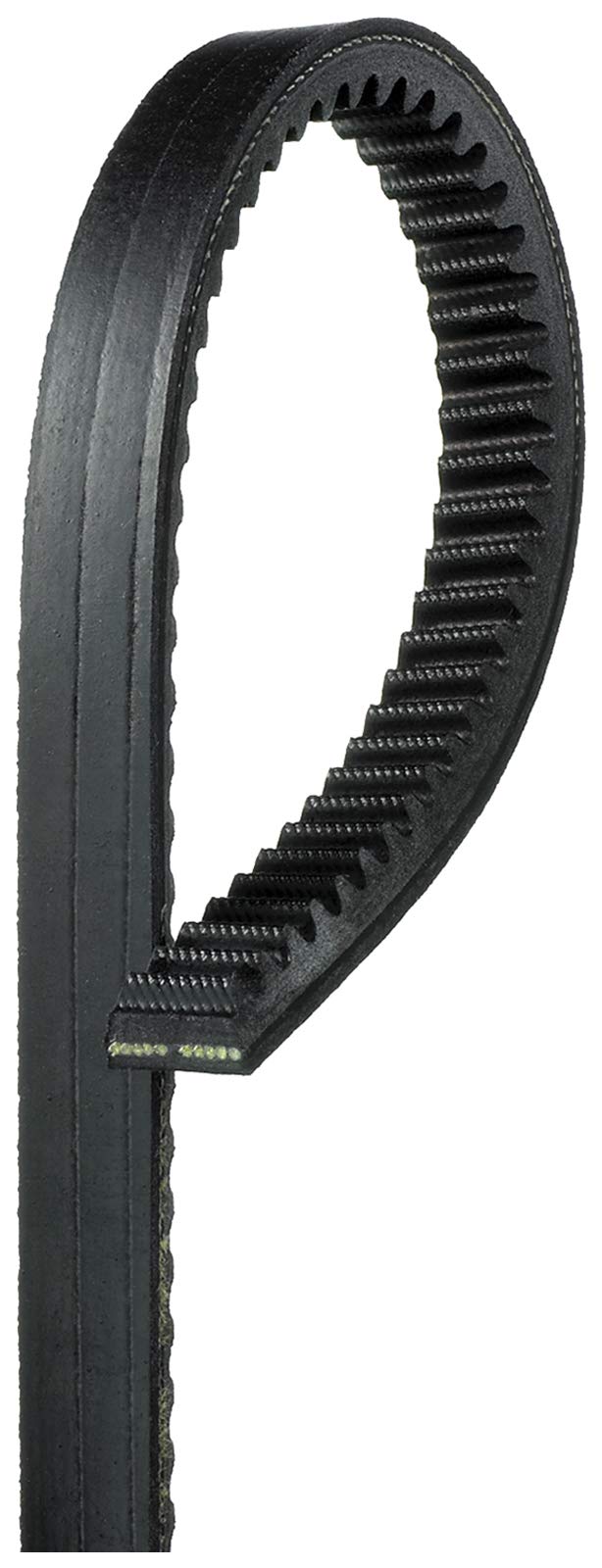 Gates BX62 CLASSICAL SECTION MOLDED NOTCH V-BELT