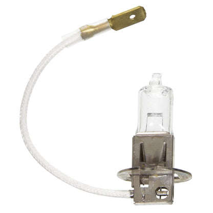 WAGNER BP1255/H3 Wagner Lighting BP1255/H3 Multi-Purpose Light Bulb Card of 1