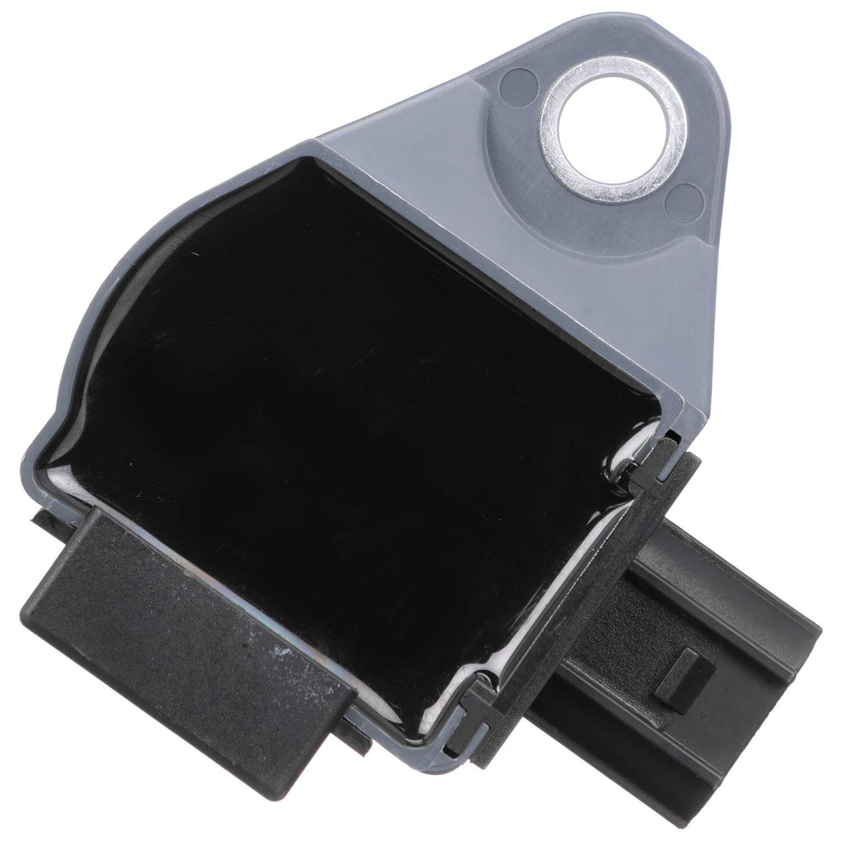 Delphi GN10733 IGNITION COIL