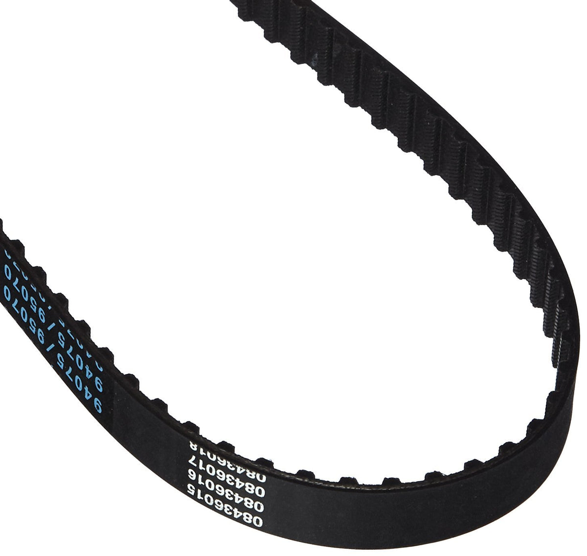Dayco 95070 CHEVROLET/TOYOTA 1.5/1.6L