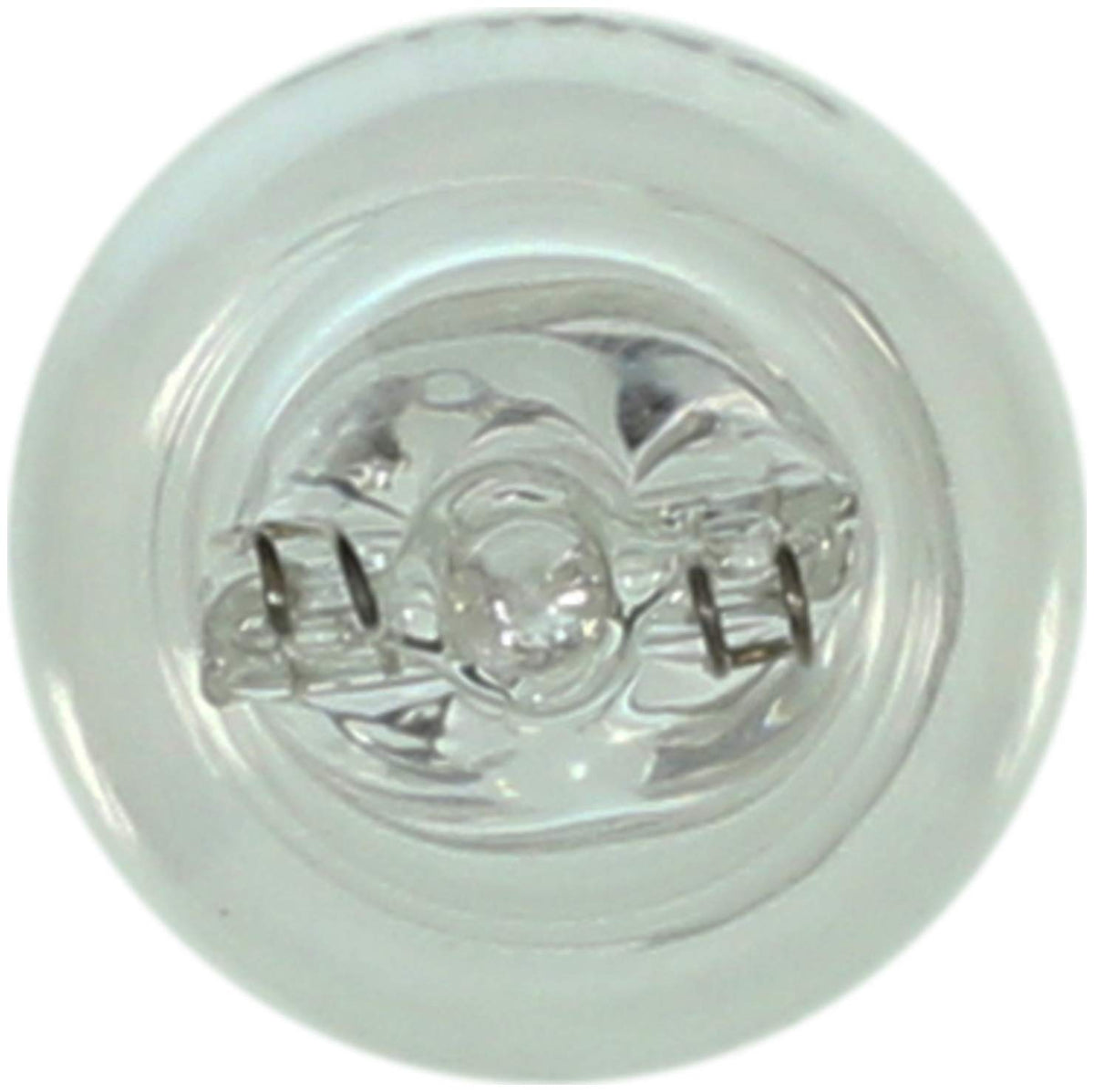 WAGNER BP922 Wagner Lighting BP922 Standard Multi-Purpose Light Bulb Card of 2