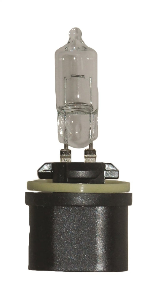 HELLA 890 HELLA 890 Standard Halogen Bulb, 12 V, 27W