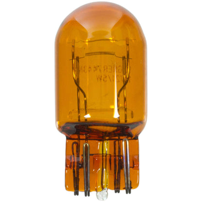 WAGNER BP7443NA Wagner Lighting BP7443NA Natural Amber Miniature Bulb - Card of 1