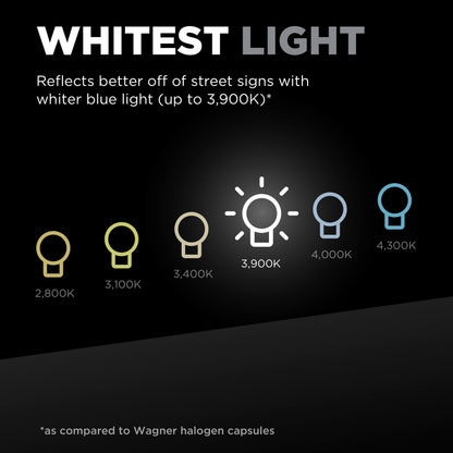 WAGNER BPH1TVX2 Wagner TruView PLUS BPH1TVX2 Multi-Purpose Light Bulb Card of 2