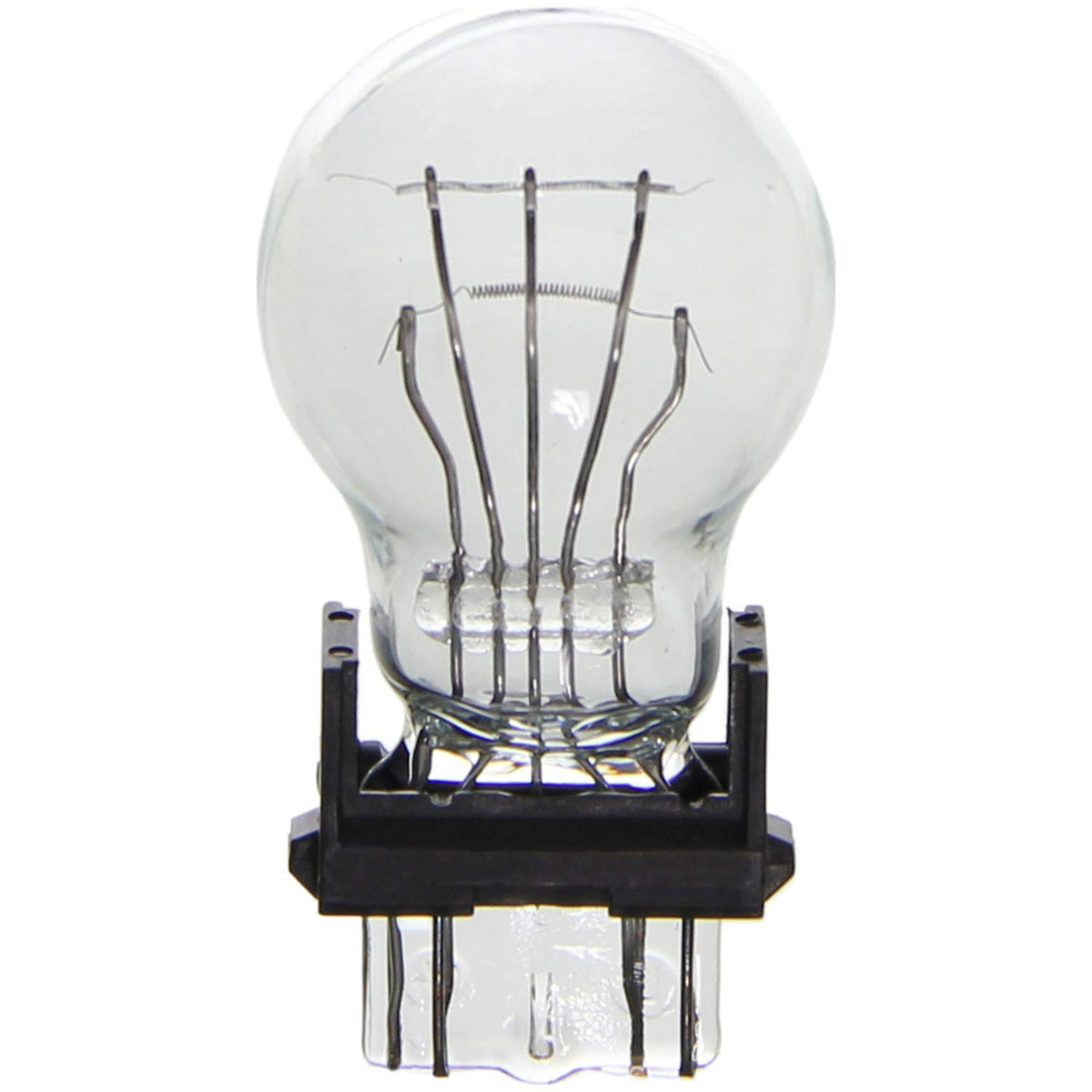 WAGNER BP3157 Wagner Lighting BP3157 Standard Multi-Purpose Light Bulb Card of 2
