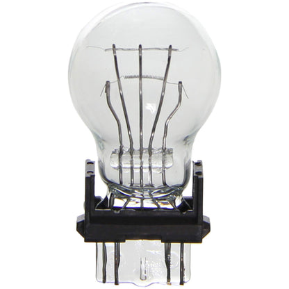 WAGNER BP3157 Wagner Lighting BP3157 Standard Multi-Purpose Light Bulb Card of 2