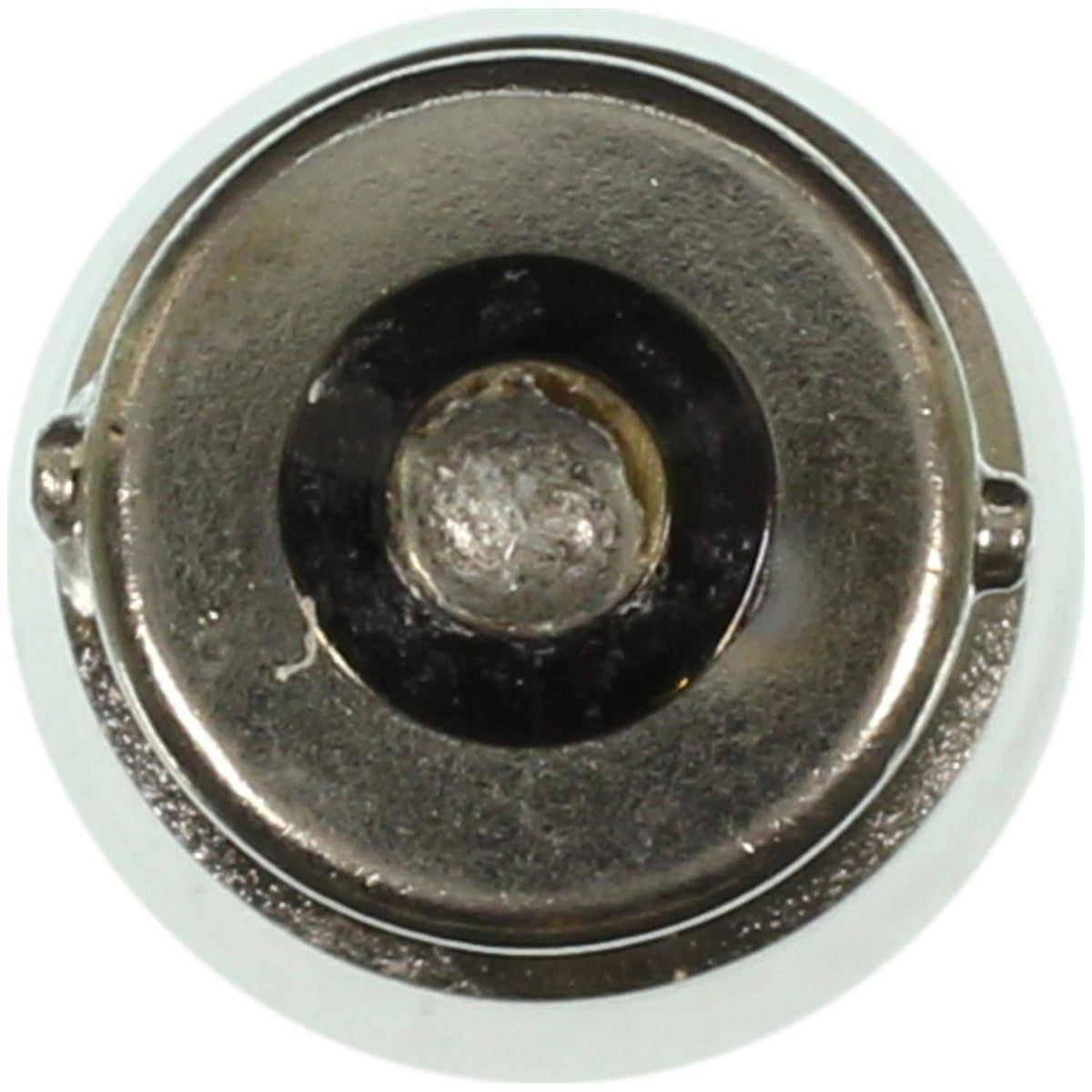 WAGNER 1003 Wagner Lighting 1003 Standard Multi-Purpose Light Bulb Box of 10