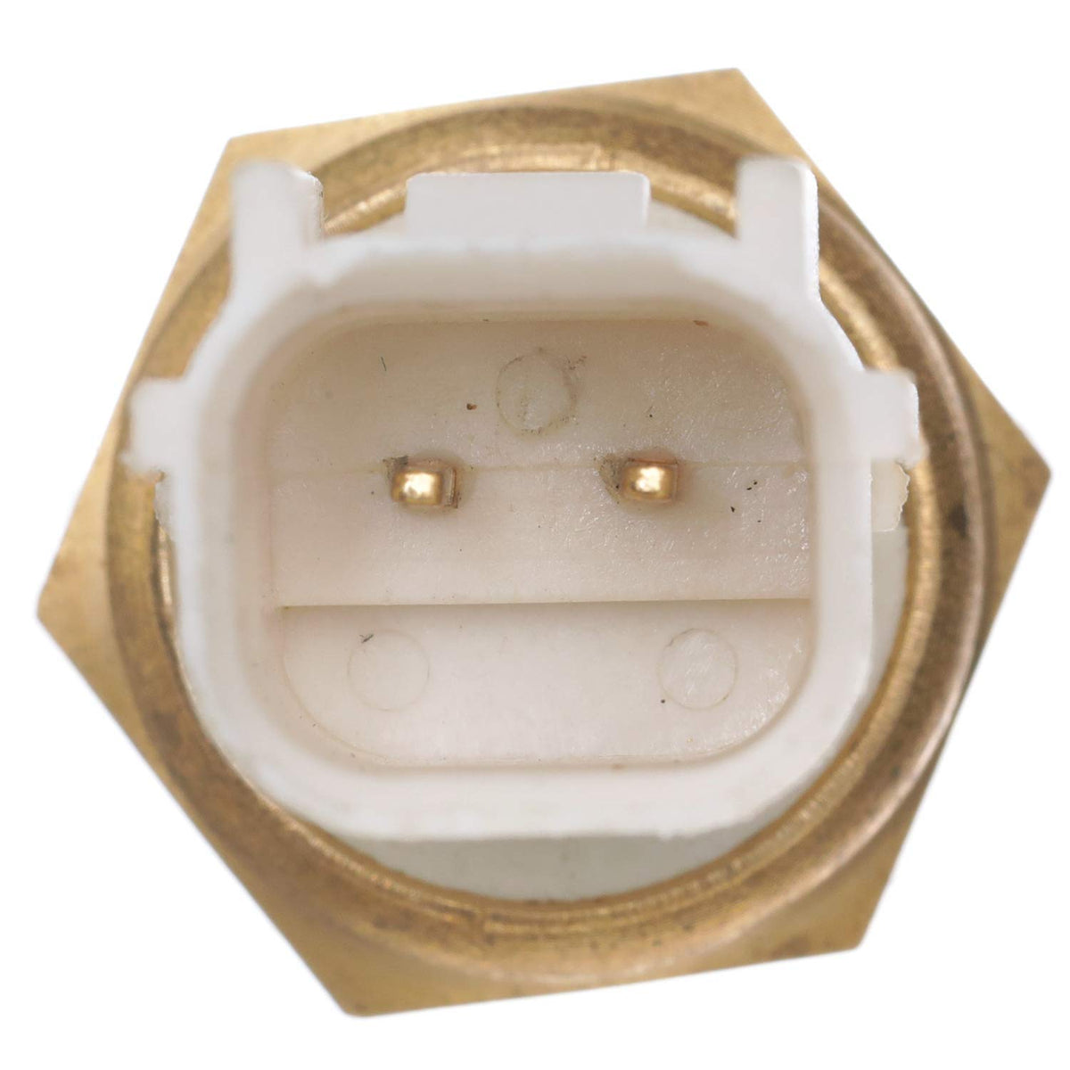 Delphi TS10288 Engine Coolant Temperature Sensor, 1 Pack