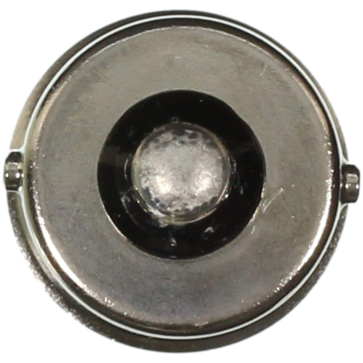WAGNER 795 Wagner Lighting 795 Standard Multi-Purpose Light Bulb Box of 10