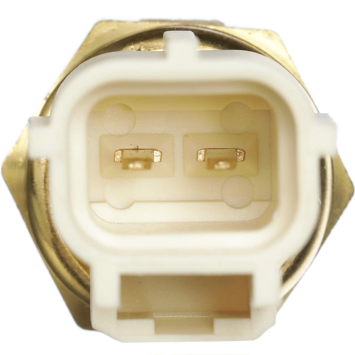 Delphi TS10289 Engine Coolant Temperature Sensor