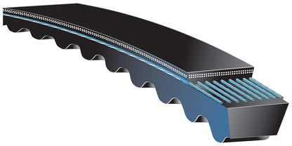 Gates BX36 CLASSICAL SECTION MOLDED NOTCH V-BELT